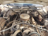 1975 Ford Ranchero for sale in Texas (ID-82956)