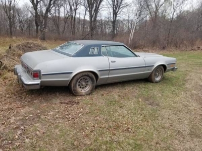 1975 Ford Elite for sale