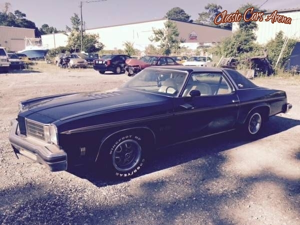 1975 Oldsmobile 442 for sale in Michigan (ID-43143)