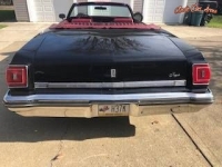 1975 Oldsmobile Delta 88 for sale in Pennsylvania (ID-76126)