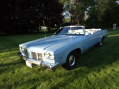 1975 Oldsmobile Delta 88 for sale