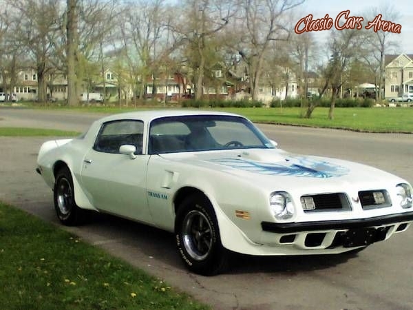 1975 Pontiac Trans Am for sale in Michigan (ID-10323)