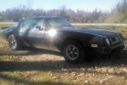 1975 Pontiac Trans Am for sale