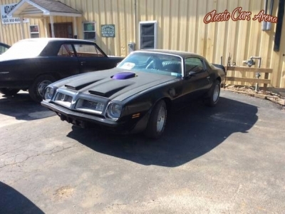 1975 Pontiac Trans Am for sale