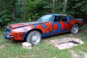1975 Pontiac Firebird for sale