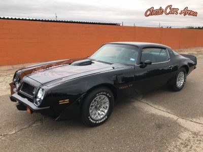 1975 Pontiac Trans Am for sale