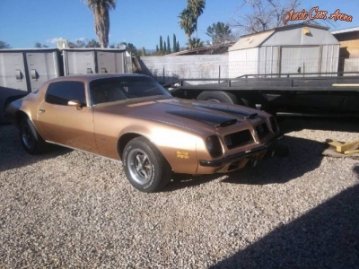 1975 Pontiac Firebird for sale