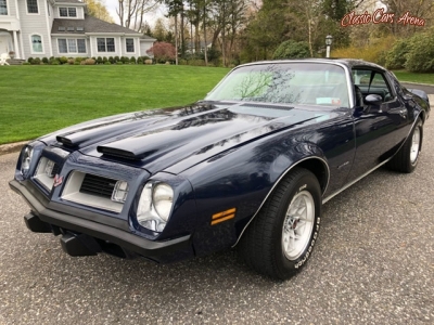 1975 Pontiac Firebird for sale