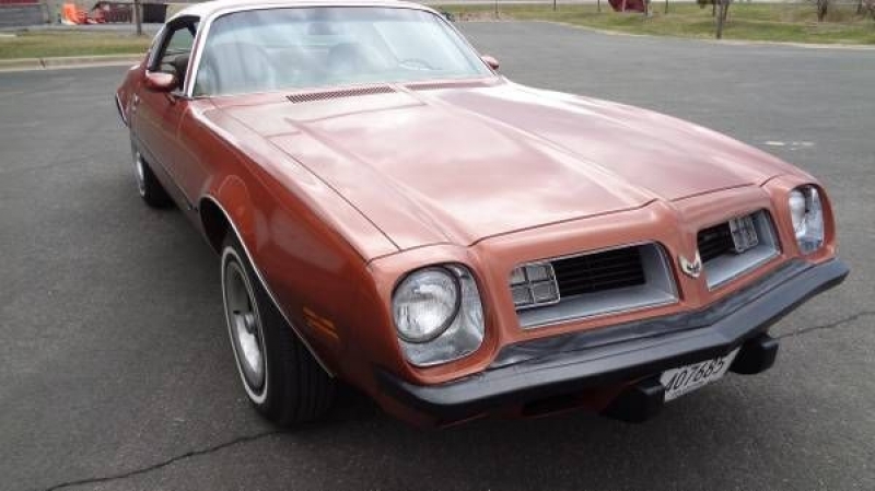 1975 Pontiac Firebird for sale in Michigan (ID-79807)