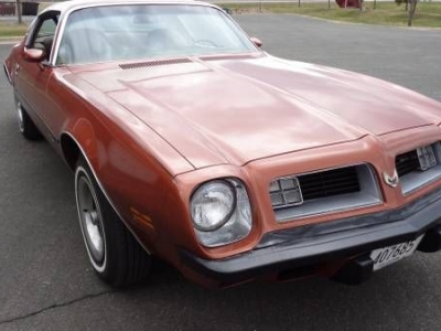 1975 Pontiac Firebird for sale