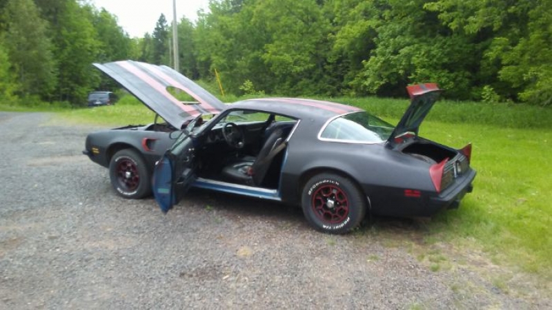 1975 Pontiac Firebird for sale in Wisconsin (ID-80599)