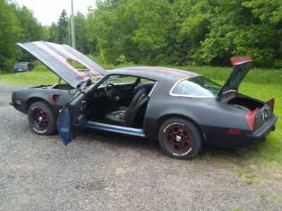 1975 Pontiac Firebird for sale