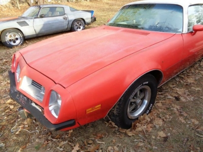 1975 Pontiac Firebird for sale