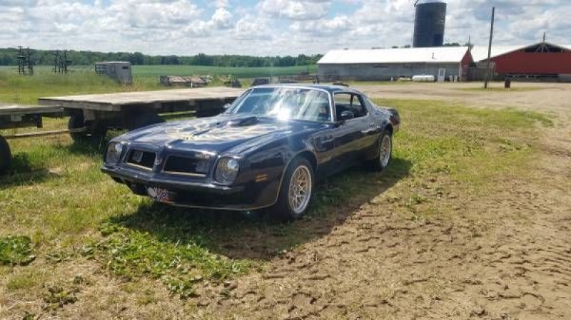 1975 Pontiac Trans Am for sale in Michigan (ID-93694)