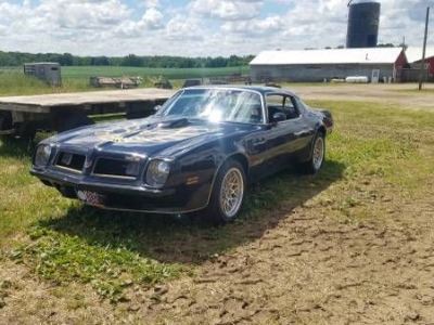 1975 Pontiac Trans Am for sale