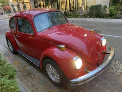 1975 Volkswagen Beetle for sale