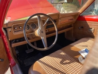 1975 AMC Hornet for sale in Michigan (ID-126750)