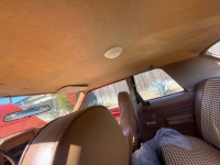 1975 AMC Hornet for sale in Michigan (ID-126750)