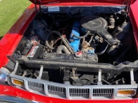 1975 AMC Hornet for sale in Michigan (ID-126750)
