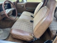 1975 AMC Pacer for sale in Michigan (ID-138327)