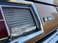 1975 AMC Pacer for sale in Michigan (ID-138327)