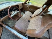 1975 AMC Pacer for sale in Michigan (ID-138327)