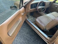 1975 AMC Pacer for sale in Michigan (ID-138327)