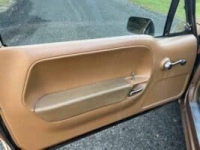 1975 AMC Pacer for sale in Michigan (ID-138327)