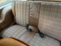 1975 AMC Pacer for sale in Michigan (ID-138327)