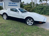 1975 Bricklin SV1 for sale in Michigan (ID-123678)