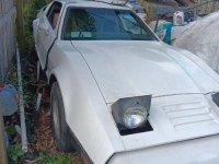 1975 Bricklin SV1 for sale in Michigan (ID-154841)