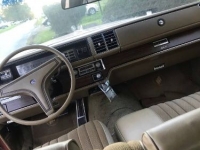 1975 Buick Electra 225 for sale in Michigan (ID-95352)
