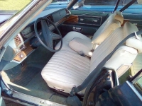 1975 Buick Electra 225 for sale in Michigan (ID-120916)