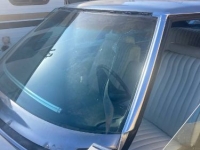 1975 Buick Electra 225 for sale in Michigan (ID-143688)