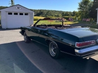 1975 Buick LeSabre for sale in Michigan (ID-131074)