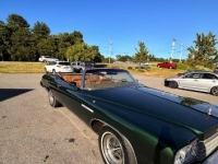 1975 Buick LeSabre for sale in Michigan (ID-131074)