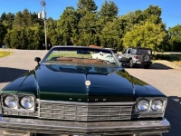 1975 Buick LeSabre for sale in Michigan (ID-131074)