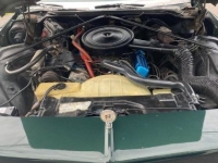 1975 Buick LeSabre for sale in Michigan (ID-131074)
