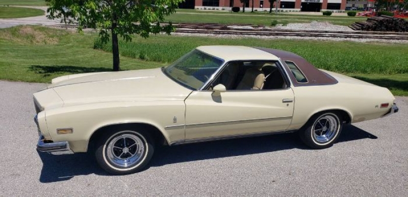 1975 Buick Regal for sale in Michigan (ID-101213)