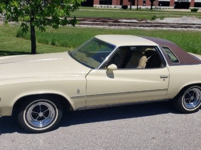 1975 Buick Regal for sale