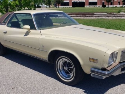 1975 Buick Regal for sale