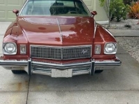 1975 Buick Regal for sale in Michigan (ID-161745)
