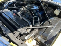 1975 Cadillac Calais for sale in Michigan (ID-133908)