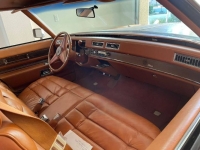 1975 Cadillac Eldorado for sale in Michigan (ID-114039)