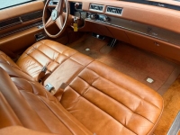 1975 Cadillac Eldorado for sale in Michigan (ID-115090)