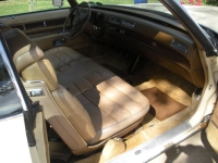 1975 Cadillac Eldorado for sale in Michigan (ID-139148)