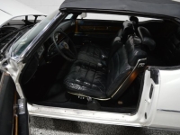 1975 Cadillac Eldorado for sale in Michigan (ID-142124)