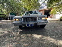 1975 Cadillac Fleetwood for sale in Michigan (ID-120892)