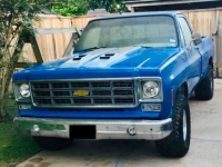 1975 Chevrolet 1500 for sale in Michigan (ID-134870)