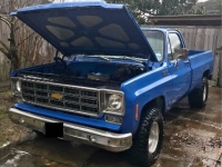 1975 Chevrolet 1500 for sale in Michigan (ID-134870)